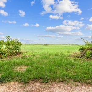Photo #7 of Lot 3 Waller, Mount Olive, NC 3.4 acres