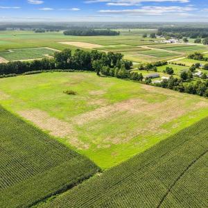 Photo #10 of Lot 3 Waller, Mount Olive, NC 3.4 acres