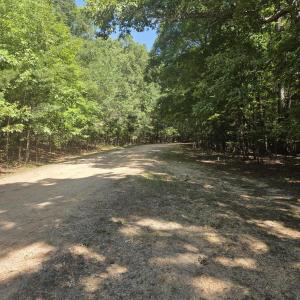 Photo #8 of Lot 45b Appaloosa Lake, Carthage, NC 0.7 acres