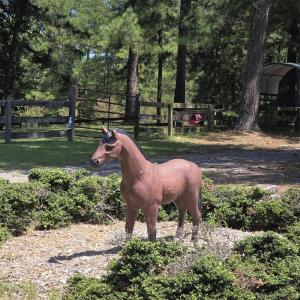 Photo #16 of Lot 45b Appaloosa Lake, Carthage, NC 0.7 acres
