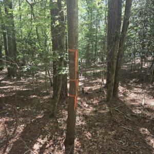 Photo #7 of Lot 45b Appaloosa Lake, Carthage, NC 0.7 acres