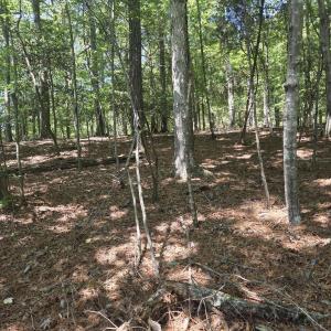Photo #3 of Lot 45b Appaloosa Lake, Carthage, NC 0.7 acres