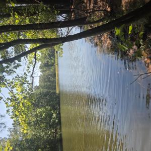 Photo #1 of Lot 45b Appaloosa Lake, Carthage, NC 0.7 acres