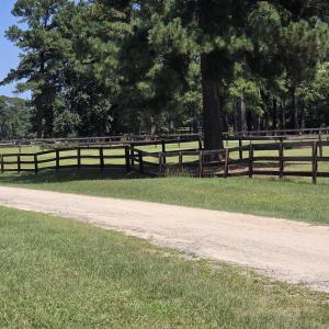 Photo #15 of Lot 45b Appaloosa Lake, Carthage, NC 0.7 acres