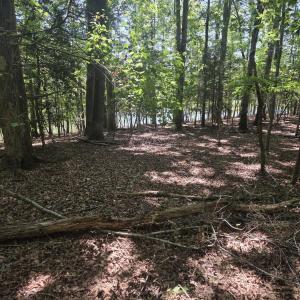 Photo #4 of Lot 45b Appaloosa Lake, Carthage, NC 0.7 acres