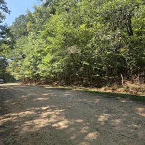 Photo #9 of Lot 45b Appaloosa Lake, Carthage, NC 0.7 acres