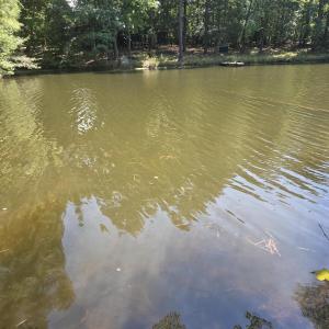 Photo #2 of Lot 45b Appaloosa Lake, Carthage, NC 0.7 acres