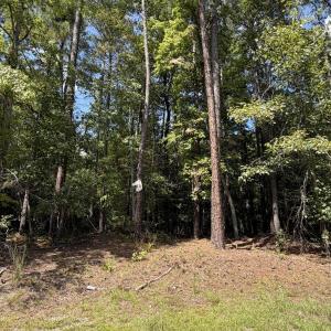 Photo #4 of 1d Gelding Gap, Carthage, NC 1.2 acres
