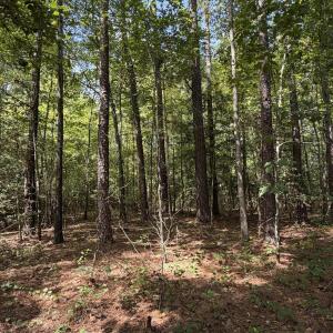 Photo #1 of 1d Gelding Gap, Carthage, NC 1.2 acres