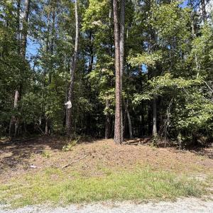 Photo #5 of 1d Gelding Gap, Carthage, NC 1.2 acres