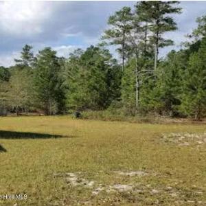 Photo #7 of 16369 Palmer, Marston, NC 13.0 acres