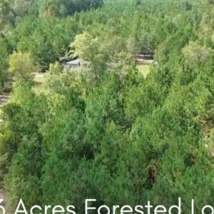 Photo #2 of 16369 Palmer, Marston, NC 13.0 acres