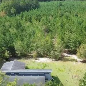 Photo #3 of 16369 Palmer, Marston, NC 13.0 acres