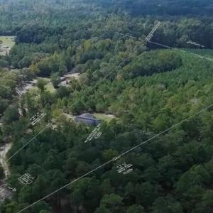 Photo #1 of 16369 Palmer, Marston, NC 13.0 acres