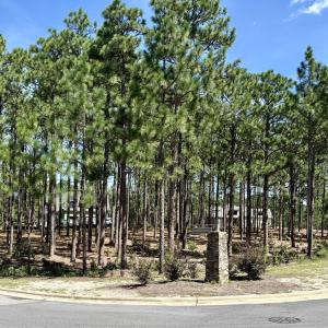 Photo #1 of 10 Cumberland, Pinehurst, NC 1.0 acres