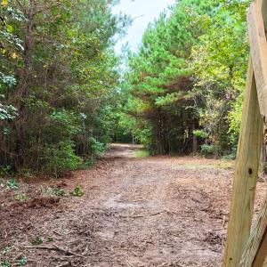 Photo #16 of 5 Bull Tail, Wallace, NC 20.0 acres