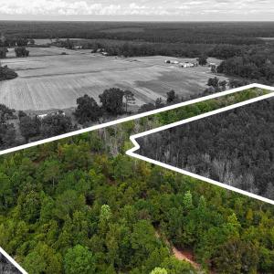 Photo #3 of 5 Bull Tail, Wallace, NC 20.0 acres