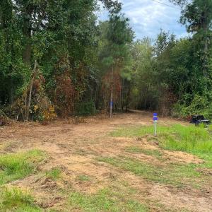 Photo #17 of 5 Bull Tail, Wallace, NC 20.0 acres
