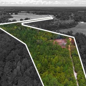 Photo #5 of 5 Bull Tail, Wallace, NC 20.0 acres