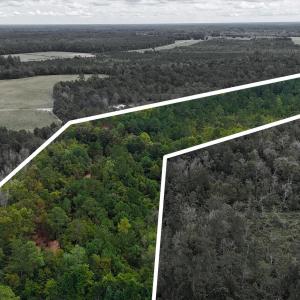 Photo #2 of 5 Bull Tail, Wallace, NC 20.0 acres