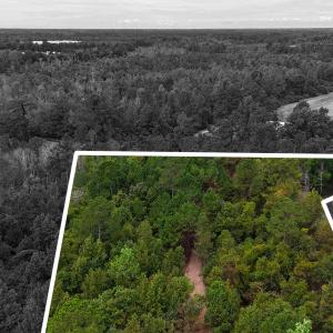 Photo #7 of 5 Bull Tail, Wallace, NC 20.0 acres