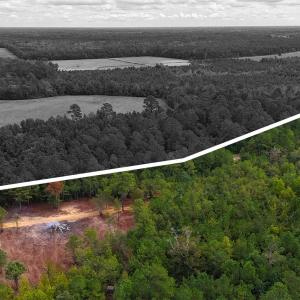 Photo #4 of 5 Bull Tail, Wallace, NC 20.0 acres