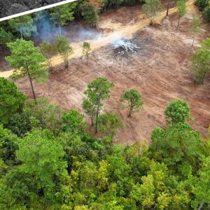 Photo #8 of 5 Bull Tail, Wallace, NC 20.0 acres