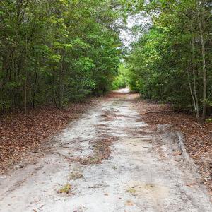 Photo #12 of 5 Bull Tail, Wallace, NC 20.0 acres