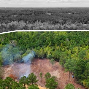 Photo #6 of 5 Bull Tail, Wallace, NC 20.0 acres