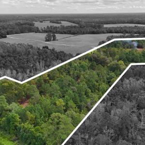 Photo #1 of 5 Bull Tail, Wallace, NC 20.0 acres