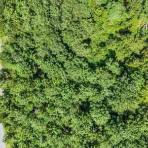 13_DJI_20260901015255_0751_D