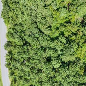 15_DJI_20260901015303_0752_D