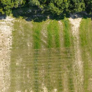 5_dji_20260910103736_0038_d