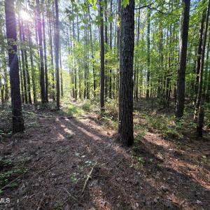 Photo #14 of Mcgowan, Bath, NC 5.9 acres