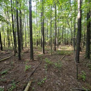 Photo #12 of Mcgowan, Bath, NC 5.9 acres