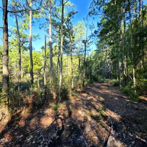 Photo #13 of Mcgowan, Bath, NC 5.9 acres