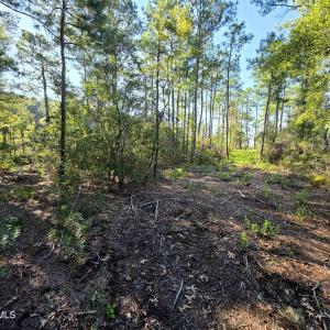 Photo #11 of Mcgowan, Bath, NC 5.9 acres