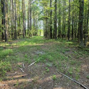 Photo #19 of Mcgowan, Bath, NC 5.9 acres