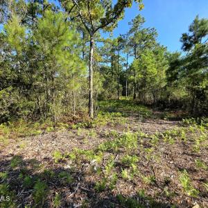 Photo #15 of Mcgowan, Bath, NC 5.9 acres