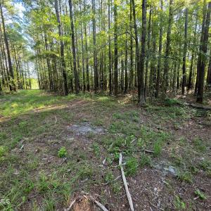 Photo #20 of Mcgowan, Bath, NC 5.9 acres