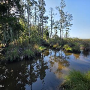 Photo #17 of Mcgowan, Bath, NC 5.9 acres