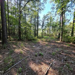 Photo #21 of Mcgowan, Bath, NC 5.9 acres