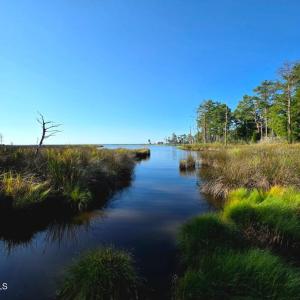 Photo #2 of Mcgowan, Bath, NC 5.9 acres