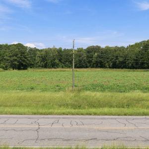 Photo #15 of 3241 Mills, Greenville, NC 12.3 acres