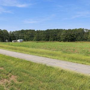 Photo #14 of 3241 Mills, Greenville, NC 12.3 acres