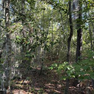 Photo #3 of Eagle View, Blounts Creek, NC 4.6 acres