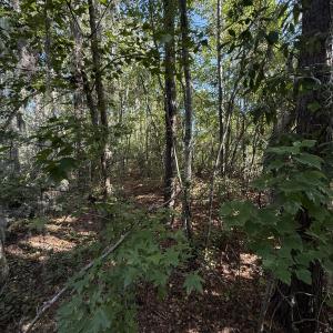 Photo #4 of Eagle View, Blounts Creek, NC 4.6 acres