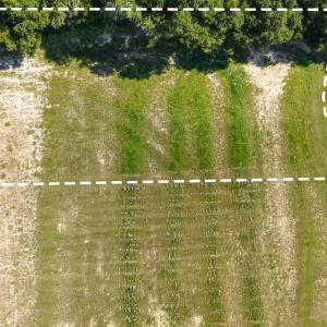 6_dji_20260910103736_0038_d_101