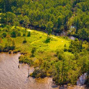 Photo #8 of 651 Taylor Beach, Columbia, NC 3.0 acres