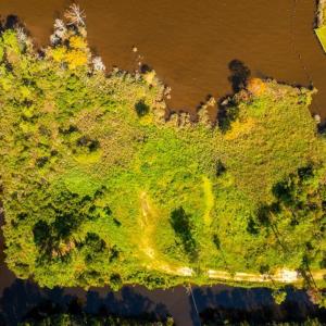 Photo #6 of 651 Taylor Beach, Columbia, NC 3.0 acres